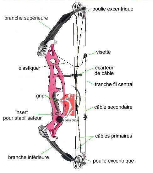 Cette image a un attribut alt vide ; le nom du fichier est poulie4.jpg